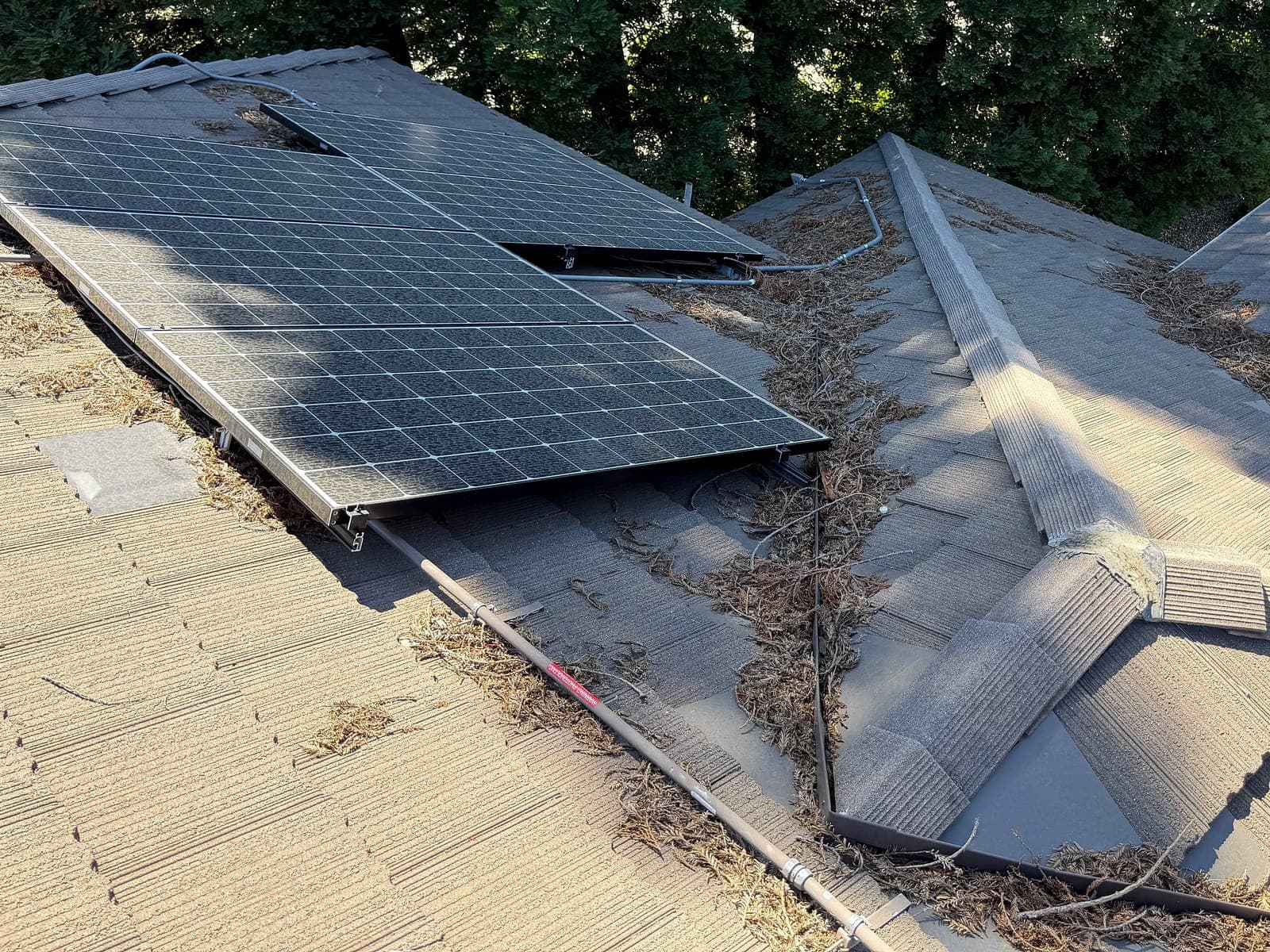 A roof valley beside a solar array packed with pine needles and debris — the load that drains straight into the gutter below